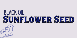 Black Oil Sunflower Seed Available at Gilford Hardware & Outdoor Power Equipment