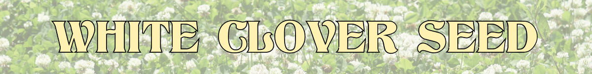 White Clover Seed 3 lbs.