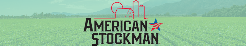 american stockman