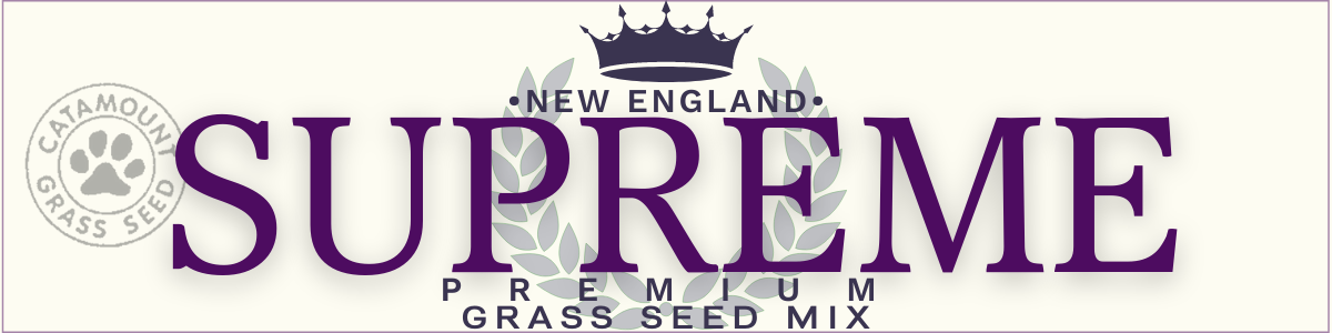 Supreme Grass Seed