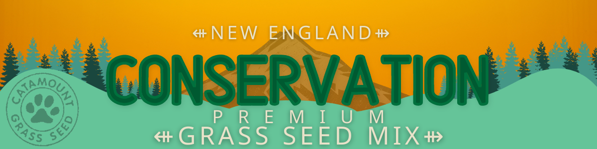 Catamount Grass Seed Conservation Mix Gilford Hardware